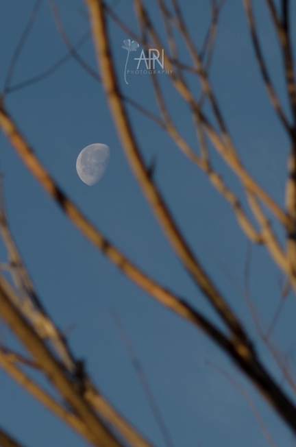 moon-130201-005